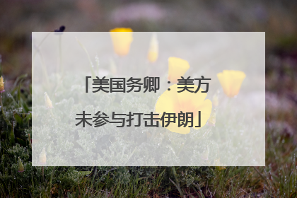 美国务卿：美方未参与打击伊朗