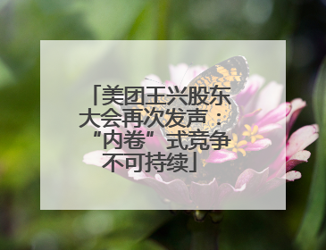 美团王兴股东大会再次发声：“内卷”式竞争不可持续