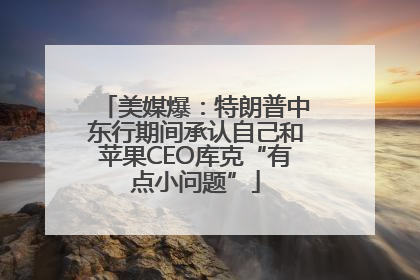 美媒爆：特朗普中东行期间承认自己和苹果CEO库克“有点小问题”