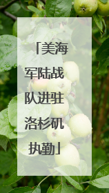 美海军陆战队进驻洛杉矶执勤