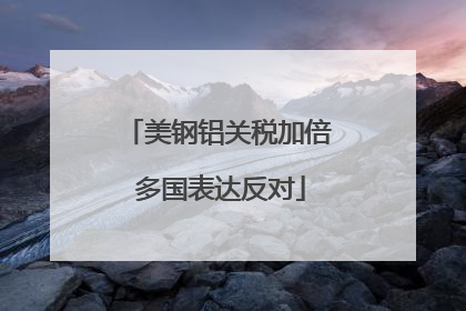 美钢铝关税加倍 多国表达反对