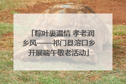 粽叶裹温情 孝老润乡风——祁门县溶口乡开展端午敬老活动