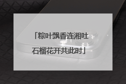 粽叶飘香连湘吐 石榴花开共此时