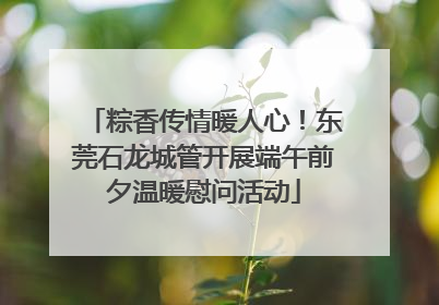 粽香传情暖人心！东莞石龙城管开展端午前夕温暖慰问活动