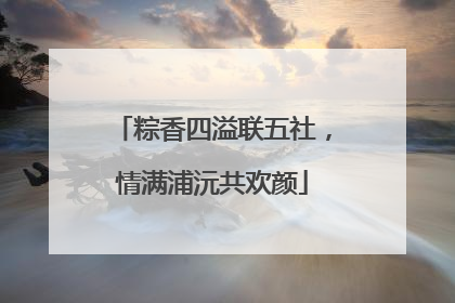 粽香四溢联五社，情满浦沅共欢颜