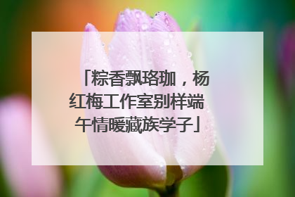 粽香飘珞珈，杨红梅工作室别样端午情暖藏族学子