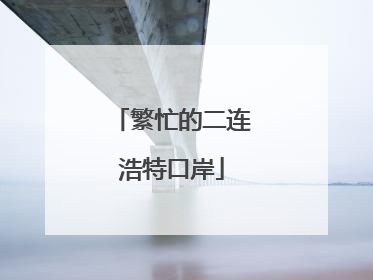繁忙的二连浩特口岸