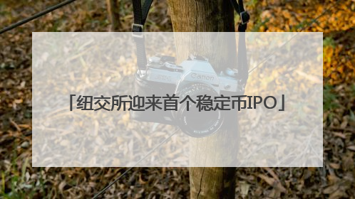 纽交所迎来首个稳定币IPO