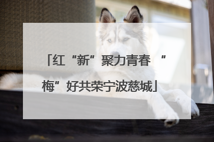 红“新”聚力青春 “梅”好共荣宁波慈城