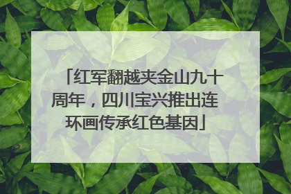 红军翻越夹金山九十周年，四川宝兴推出连环画传承红色基因