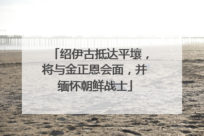 绍伊古抵达平壤，将与金正恩会面，并缅怀朝鲜战士