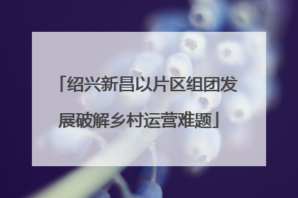 绍兴新昌以片区组团发展破解乡村运营难题