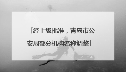 经上级批准，青岛市公安局部分机构名称调整