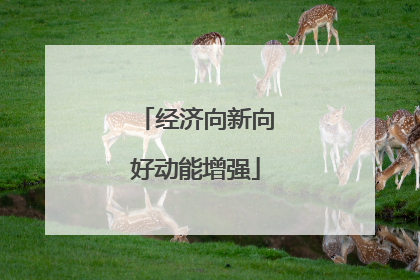 经济向新向好动能增强