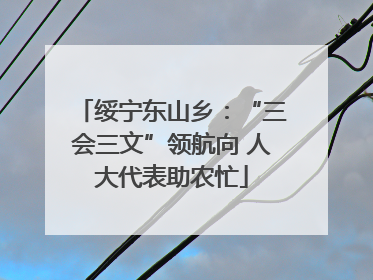 绥宁东山乡：“三会三文”领航向 人大代表助农忙