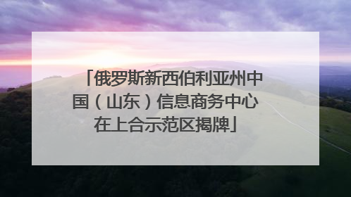 俄罗斯新西伯利亚州中国（山东）信息商务中心在上合示范区揭牌
