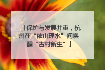 保护与发展并重，杭州在“依山理水”间唤醒“古村新生”