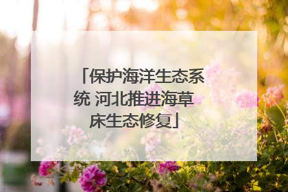 保护海洋生态系统 河北推进海草床生态修复