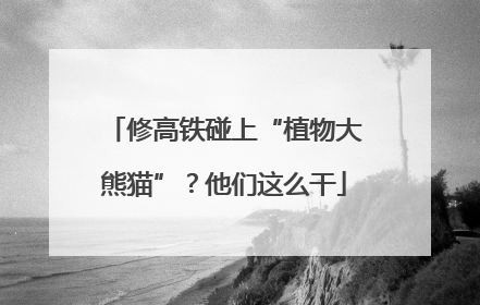 修高铁碰上“植物大熊猫”？他们这么干