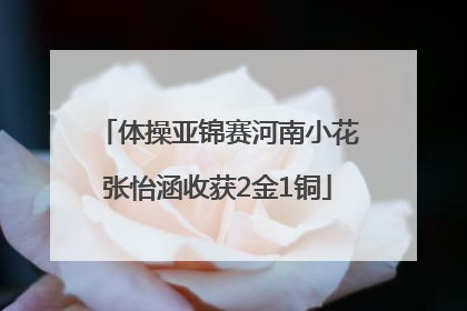 体操亚锦赛河南小花张怡涵收获2金1铜