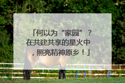 何以为“家园”？在共建共享的星火中，照亮精神原乡！