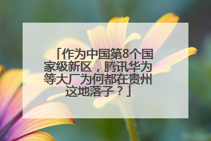 作为中国第8个国家级新区，腾讯华为等大厂为何都在贵州这地落子？