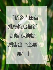 侨乡青田首批杨梅启程新加坡 保鲜提质售出“金果果”