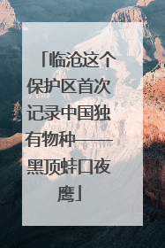 临沧这个保护区首次记录中国独有物种——黑顶蛙口夜鹰