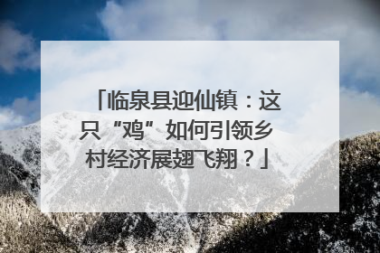 临泉县迎仙镇：这只“鸡”如何引领乡村经济展翅飞翔？