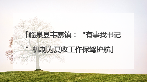 临泉县韦寨镇：“有事找书记”机制为夏收工作保驾护航