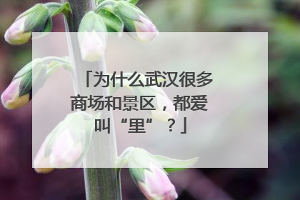 为什么武汉很多商场和景区，都爱叫“里”？