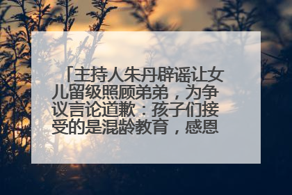 主持人朱丹辟谣让女儿留级照顾弟弟，为争议言论道歉：孩子们接受的是混龄教育，感恩每一条批评