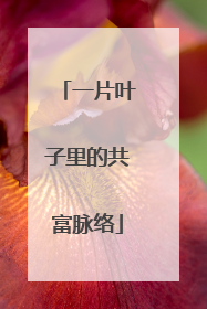一片叶子里的共富脉络