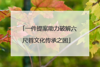 一件提案助力破解六尺巷文化传承之困