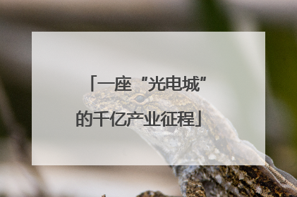 一座“光电城”的千亿产业征程