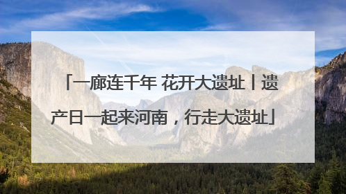 一廊连千年 花开大遗址丨遗产日一起来河南，行走大遗址