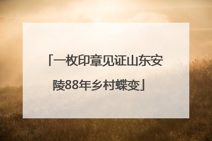 一枚印章见证山东安陵88年乡村蝶变