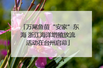 万尾鱼苗“安家”东海 浙江海洋增殖放流活动在台州启幕
