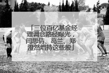 三位百亿基金经理调仓路径曝光，闫思倩、葛兰、郑澄然增持这些股