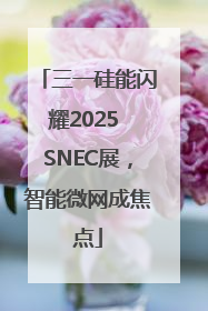 三一硅能闪耀2025 SNEC展，智能微网成焦点