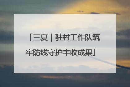 三夏｜驻村工作队筑牢防线守护丰收成果