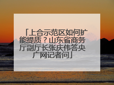 上合示范区如何扩能提质？山东省商务厅副厅长张庆伟答央广网记者问