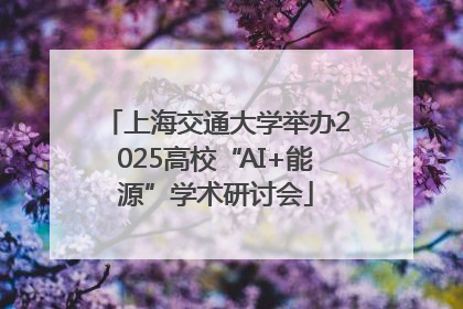上海交通大学举办2025高校“AI+能源”学术研讨会