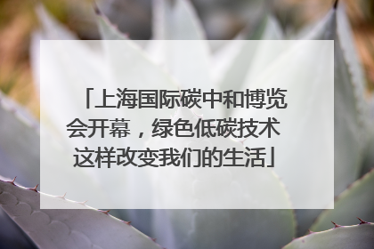 上海国际碳中和博览会开幕，绿色低碳技术这样改变我们的生活