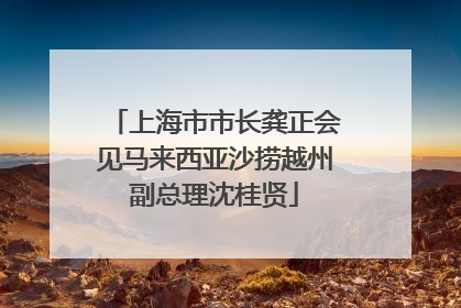 上海市市长龚正会见马来西亚沙捞越州副总理沈桂贤
