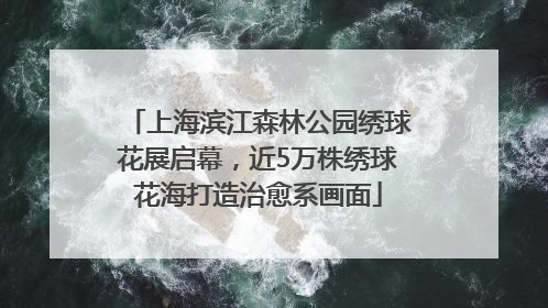 上海滨江森林公园绣球花展启幕，近5万株绣球花海打造治愈系画面