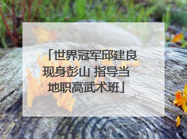 世界冠军邱建良现身彭山 指导当地职高武术班