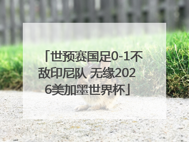 世预赛国足0-1不敌印尼队 无缘2026美加墨世界杯
