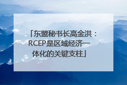 东盟秘书长高金洪：RCEP是区域经济一体化的关键支柱