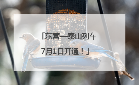 东营—泰山列车7月1日开通！